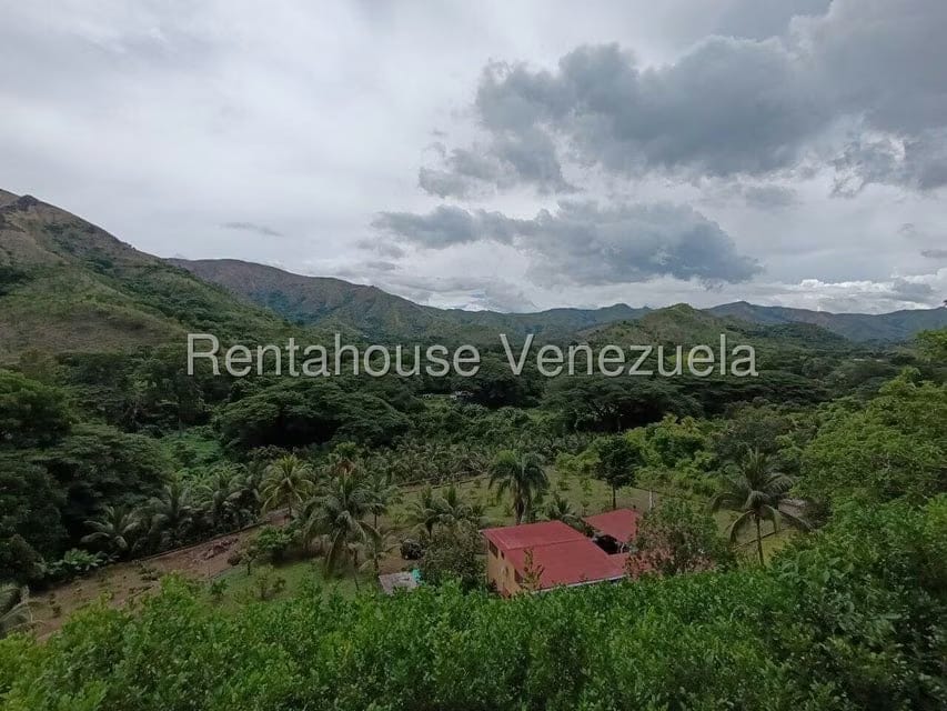 Terreno (Finca) en Venta en Sector El Carmen, Aragua - 83