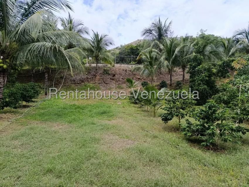 Terreno (Finca) en Venta en Sector El Carmen, Aragua - 99