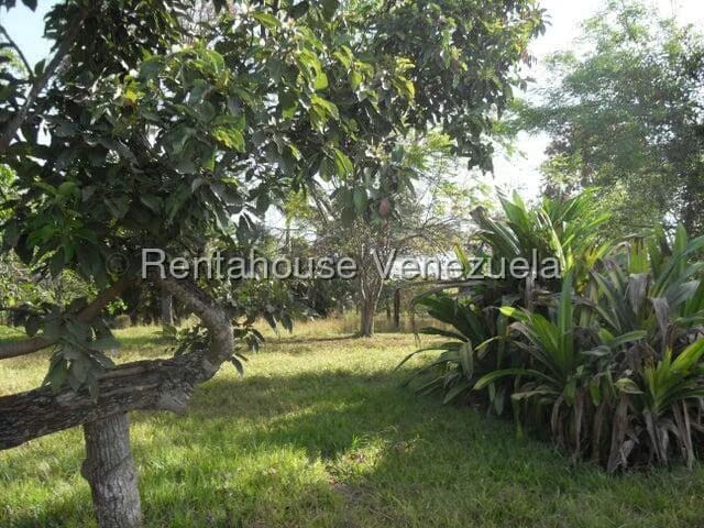 Casa (1 Nivel) en Venta en El Encanto, Carabobo - 24