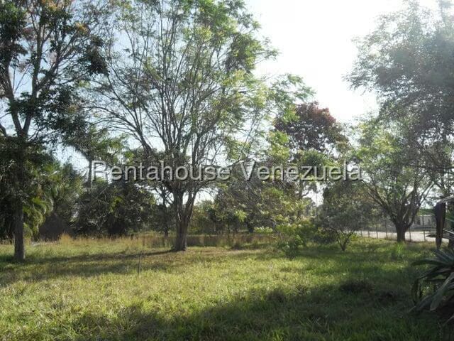 Casa (1 Nivel) en Venta en El Encanto, Carabobo - 27