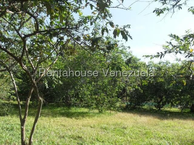 Casa (1 Nivel) en Venta en El Encanto, Carabobo - 52