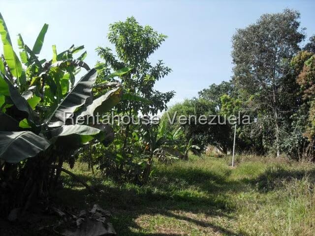 Casa (1 Nivel) en Venta en El Encanto, Carabobo - 57