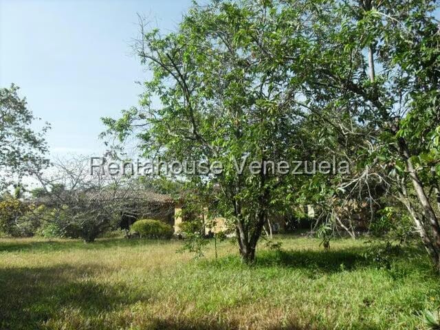 Casa (1 Nivel) en Venta en El Encanto, Carabobo - 58