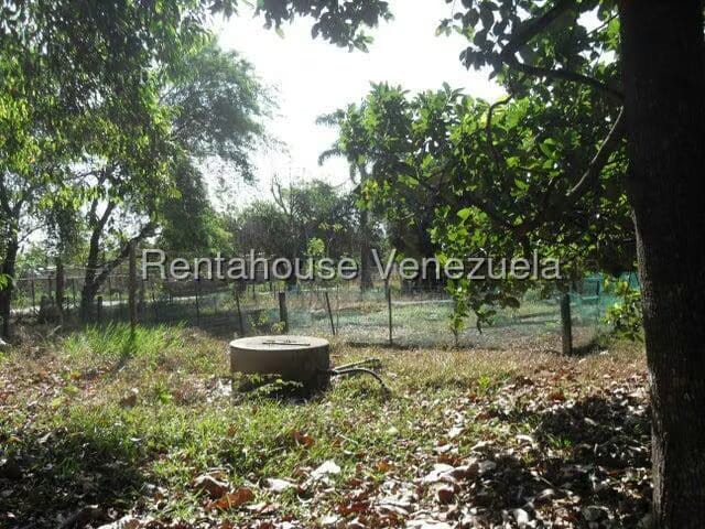 Casa (1 Nivel) en Venta en El Encanto, Carabobo - 60