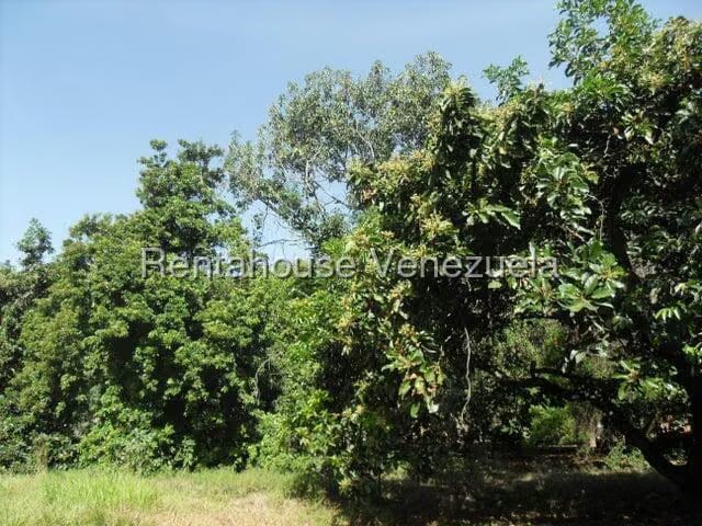 Casa (1 Nivel) en Venta en El Encanto, Carabobo - 61