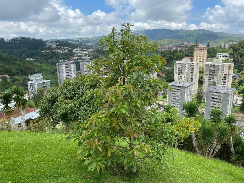 Casa (Multipes Niveles) en Venta en La Morita, Miranda - 12