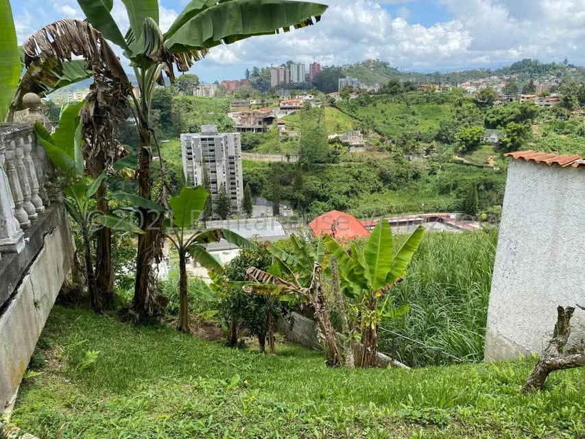 Casa (Multipes Niveles) en Venta en La Morita, Miranda - 43