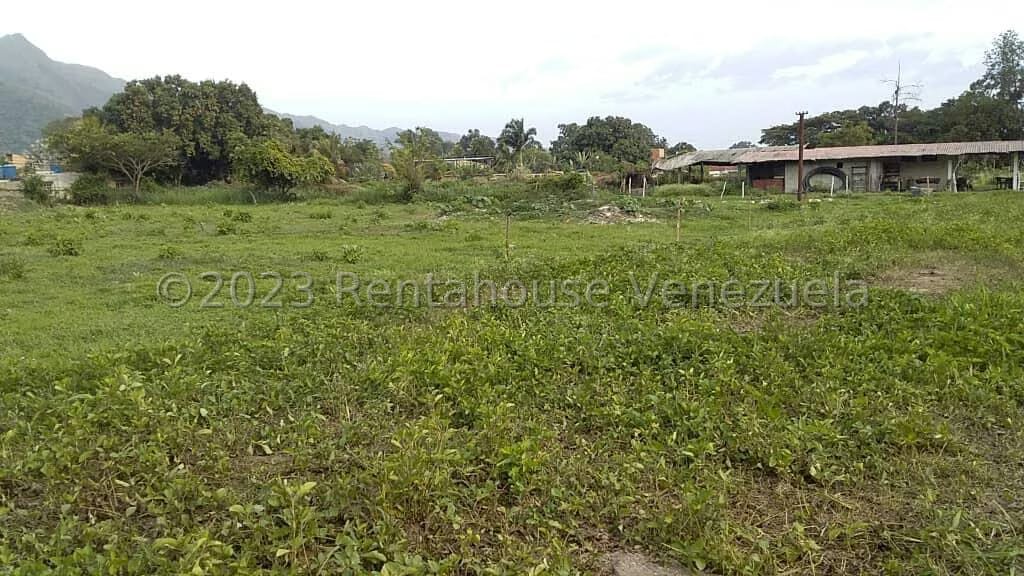 Terreno (Comercial) en Venta en Sabana del Medio, Carabobo - 3