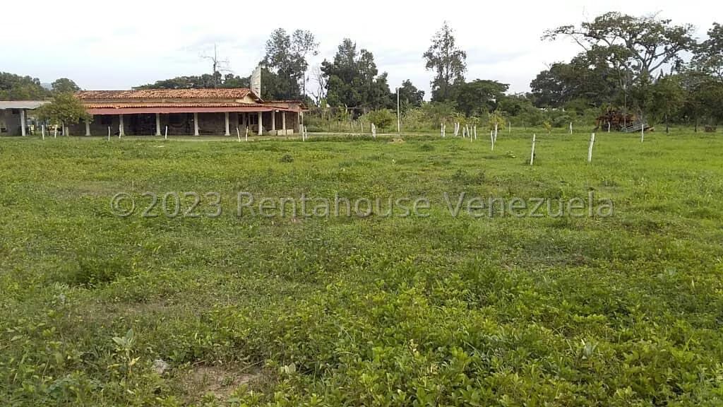 Terreno (Comercial) en Venta en Sabana del Medio, Carabobo - 4