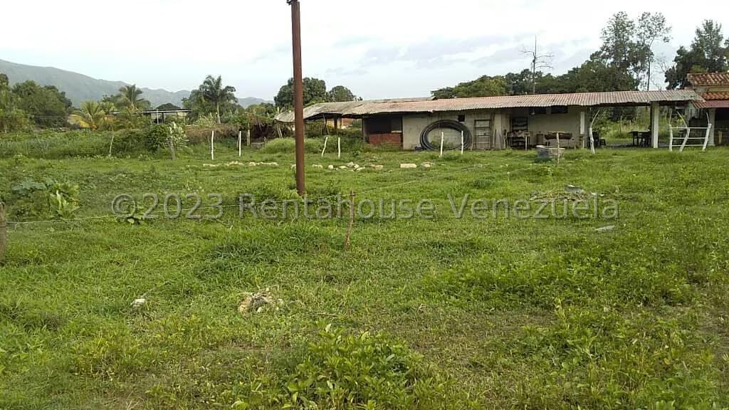 Terreno (Comercial) en Venta en Sabana del Medio, Carabobo - 5