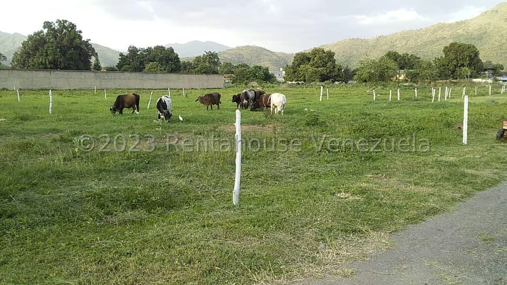 Terreno (Comercial) en Venta en Sabana del Medio, Carabobo - 8