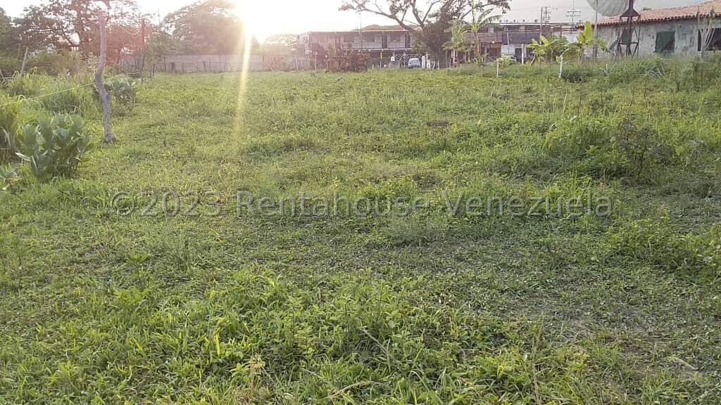 Terreno (Comercial) en Venta en Sabana del Medio, Carabobo - 10