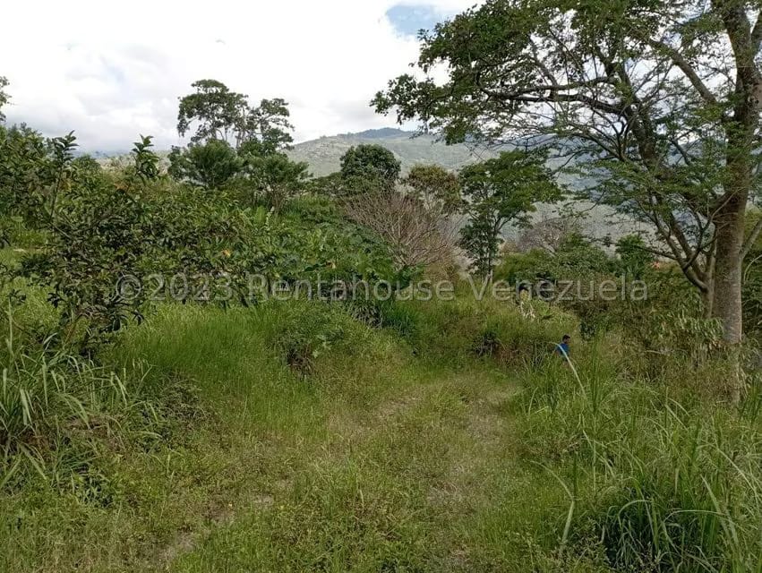 Terreno (Comercial) en Venta en Salado Bajo, Merida
