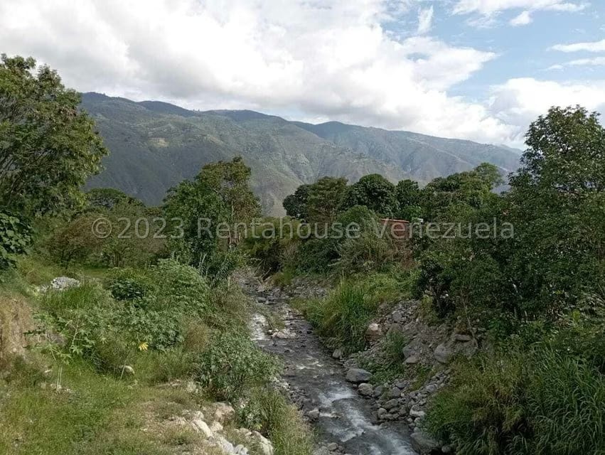 Terreno (Comercial) en Venta en Salado Bajo, Merida - 11