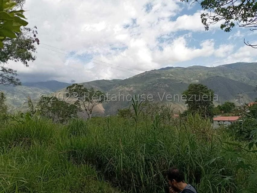 Terreno (Comercial) en Venta en Salado Bajo, Merida - 12