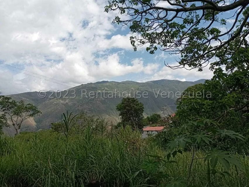 Terreno (Comercial) en Venta en Salado Bajo, Merida - 13