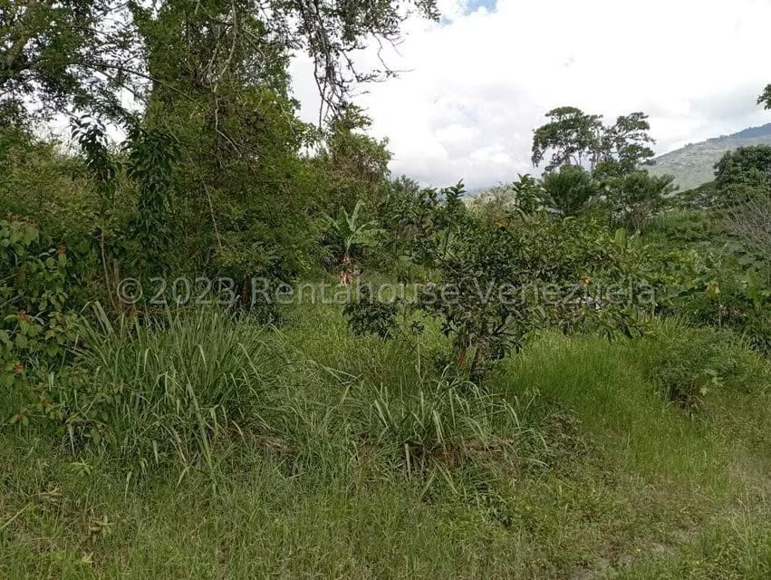 Terreno (Comercial) en Venta en Salado Bajo, Merida - 17