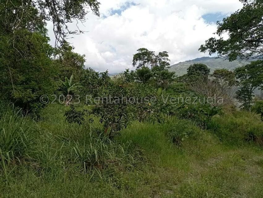 Terreno (Comercial) en Venta en Salado Bajo, Merida - 19