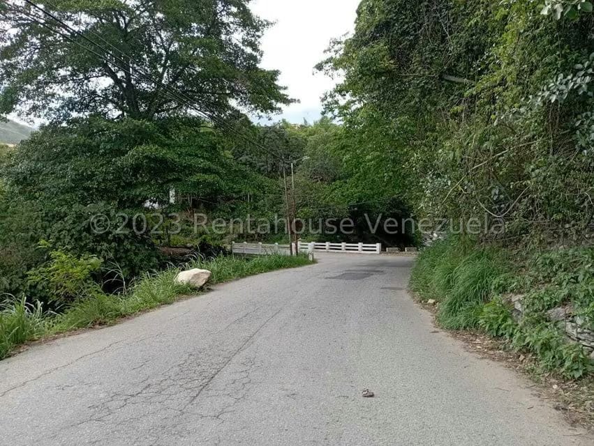 Terreno (Comercial) en Venta en Salado Bajo, Merida - 3