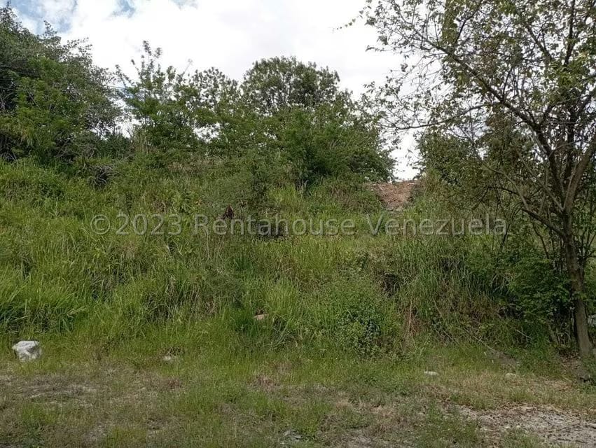 Terreno (Comercial) en Venta en Salado Bajo, Merida - 21