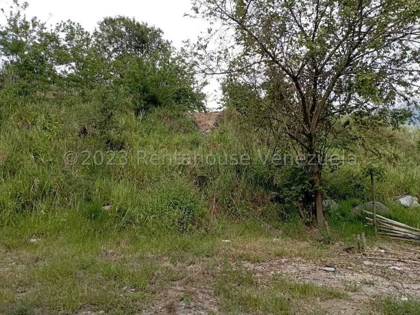 Terreno (Comercial) en Venta en Salado Bajo, Merida - 23
