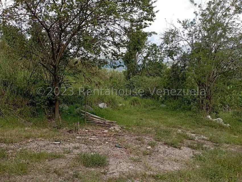 Terreno (Comercial) en Venta en Salado Bajo, Merida - 26
