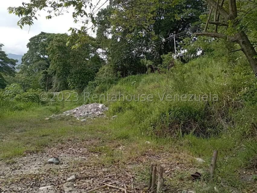 Terreno (Comercial) en Venta en Salado Bajo, Merida - 27