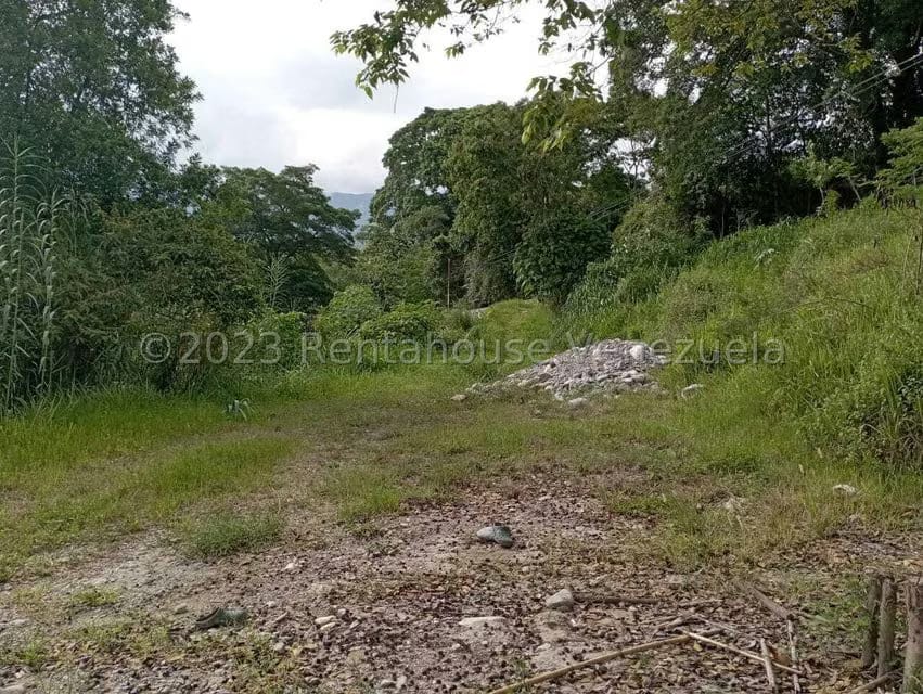 Terreno (Comercial) en Venta en Salado Bajo, Merida - 30