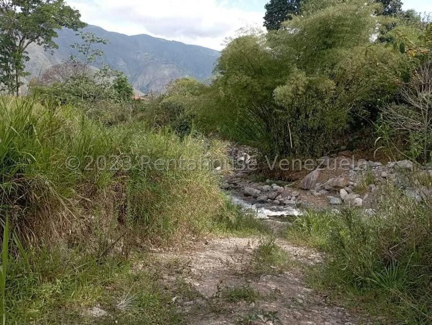 Terreno (Comercial) en Venta en Salado Bajo, Merida - 31