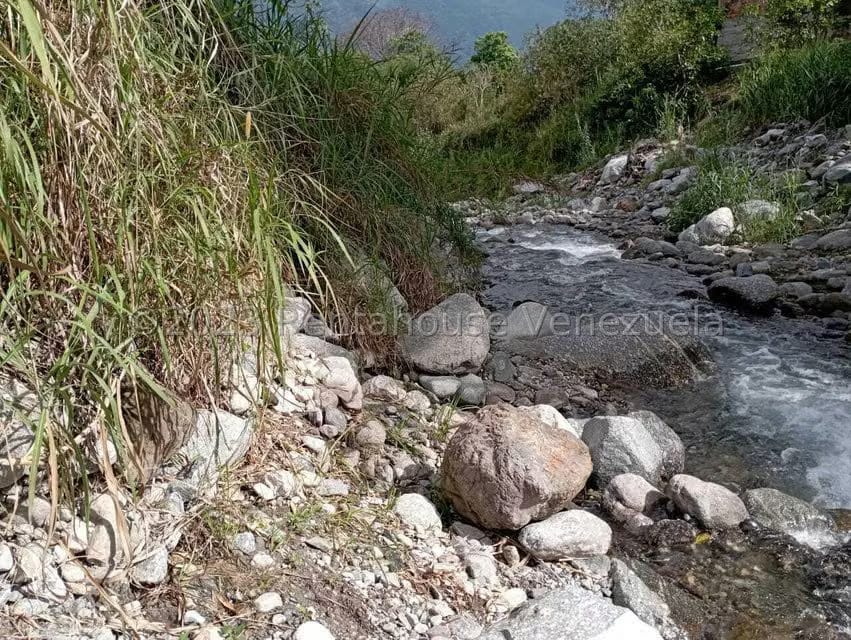 Terreno (Comercial) en Venta en Salado Bajo, Merida - 34