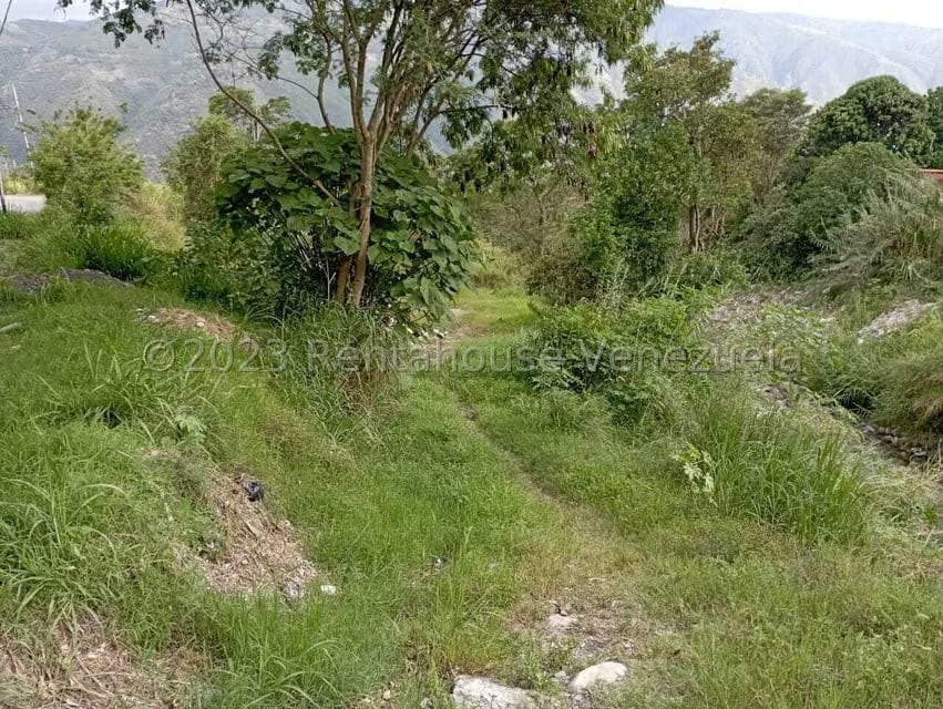 Terreno (Comercial) en Venta en Salado Bajo, Merida - 5