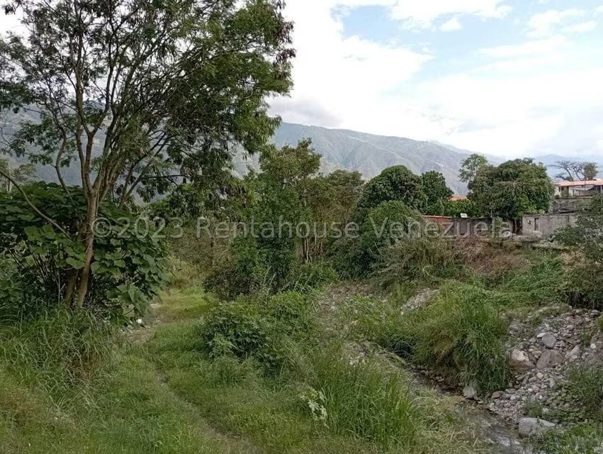 Terreno (Comercial) en Venta en Salado Bajo, Merida - 6