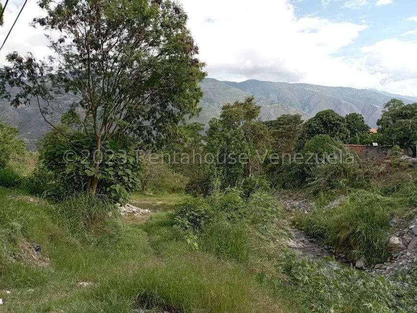 Terreno (Comercial) en Venta en Salado Bajo, Merida - 8