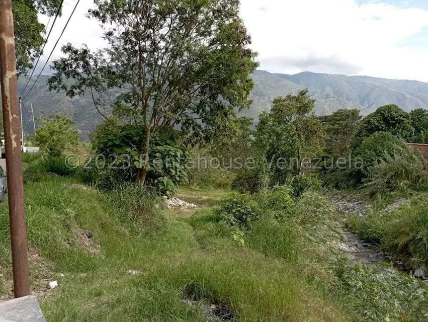 Terreno (Comercial) en Venta en Salado Bajo, Merida - 10