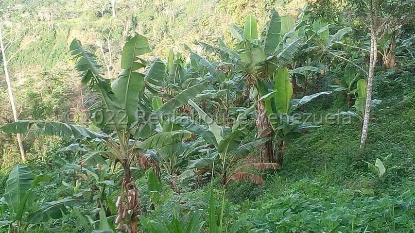 Terreno (Finca) en Venta en Turgua, Distrito Metropolitano - 2