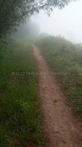 Terreno (Finca) en Venta en Turgua, Distrito Metropolitano - 16