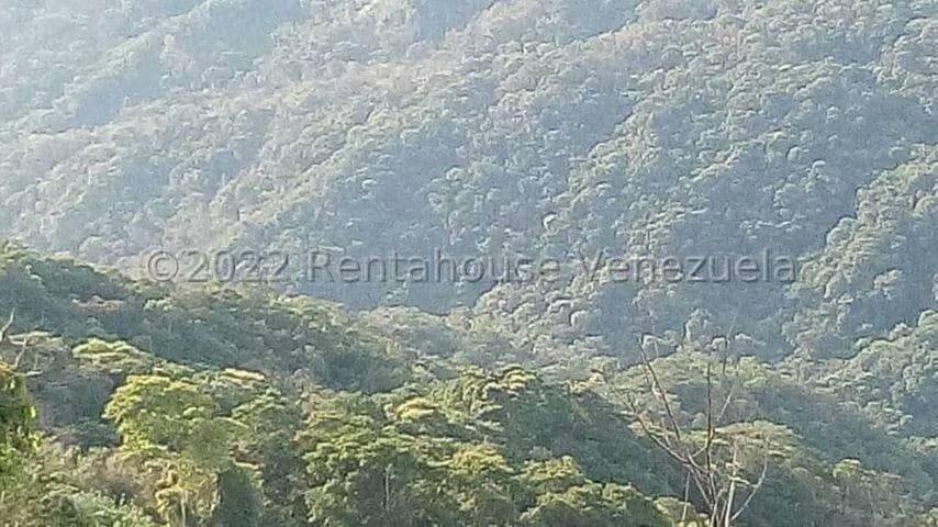 Terreno (Finca) en Venta en Turgua, Distrito Metropolitano - 8