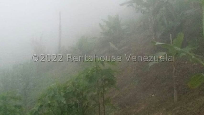 Terreno (Finca) en Venta en Turgua, Distrito Metropolitano - 9