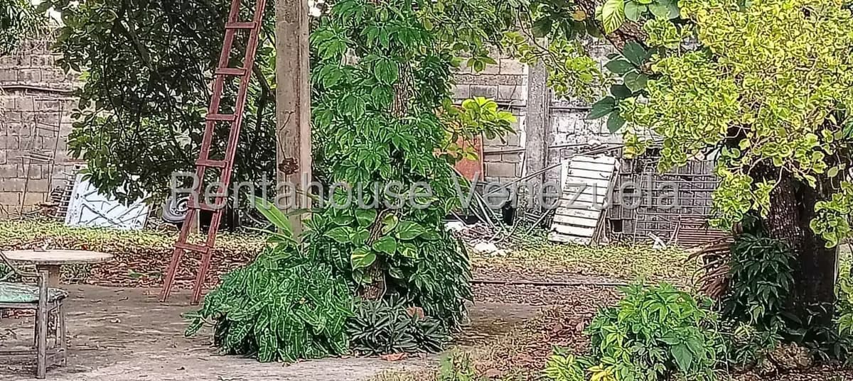 Casa (1 Nivel) en Venta en Municipio Peña, Yaracuy - 10