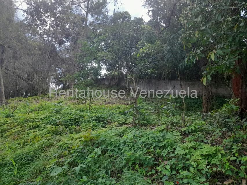 Terreno (Comercial) en Venta en El Carrizal, Miranda - 15