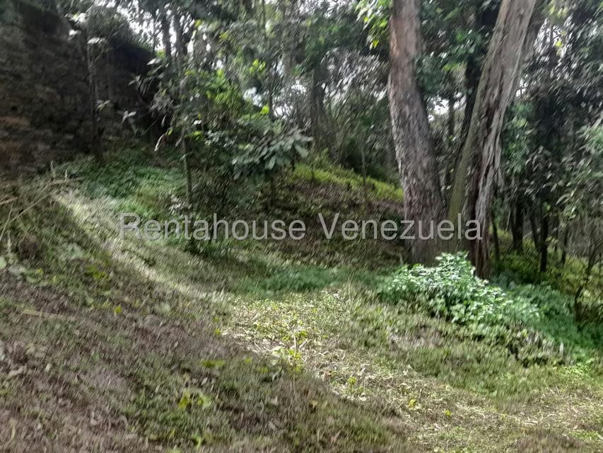 Terreno (Comercial) en Venta en El Carrizal, Miranda - 17
