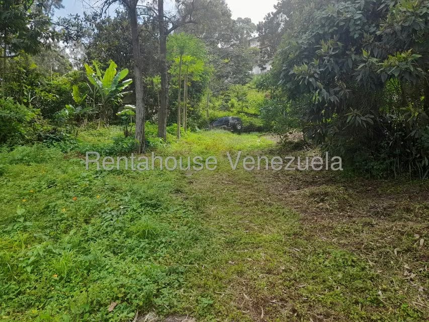 Terreno (Comercial) en Venta en El Carrizal, Miranda - 5