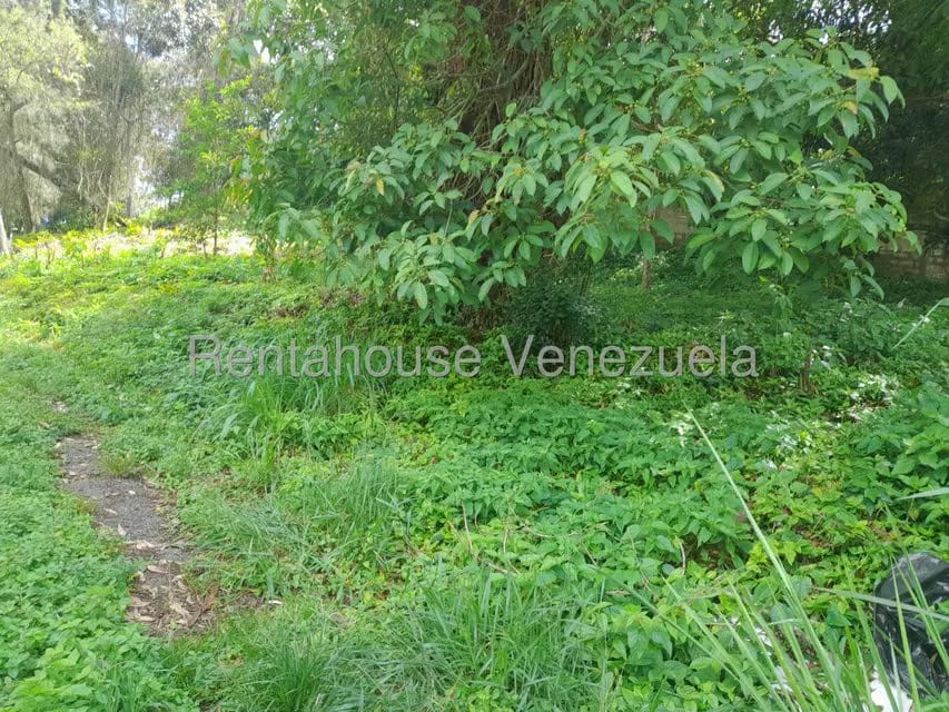 Terreno (Comercial) en Venta en El Carrizal, Miranda - 6