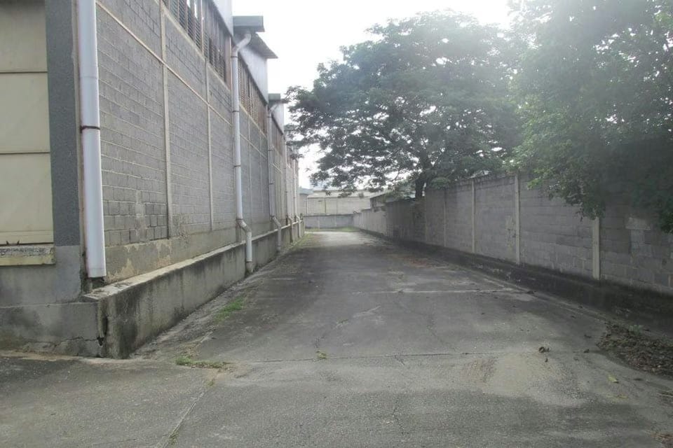 Comercial (Galpon - Deposito) en Venta en Santa Rosa, Miranda - 42