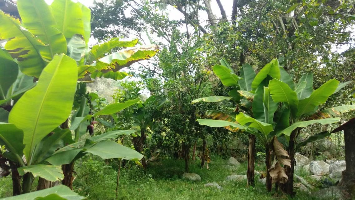 Casa (Casas de Campo) en Venta en Ejido, Merida - 62