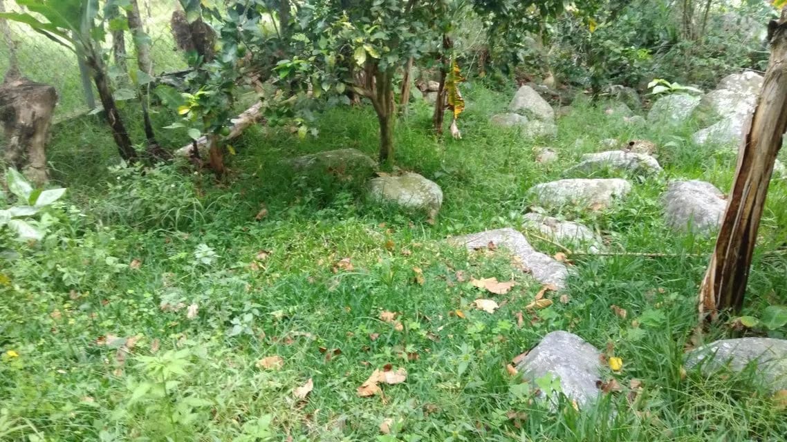 Casa (Casas de Campo) en Venta en Ejido, Merida - 63