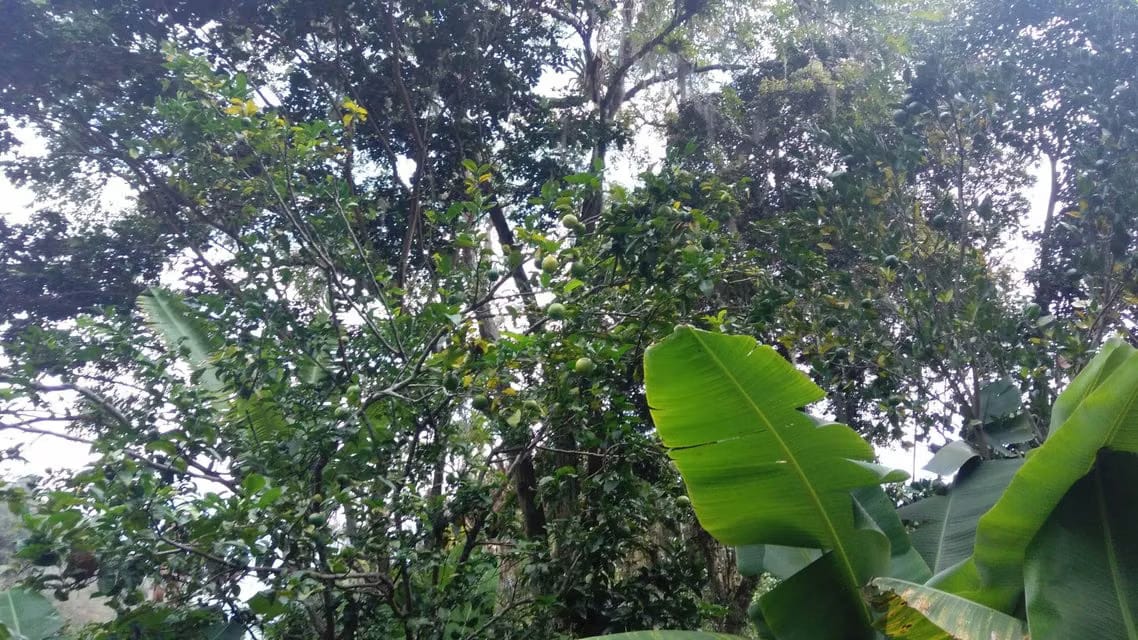 Casa (Casas de Campo) en Venta en Ejido, Merida - 64
