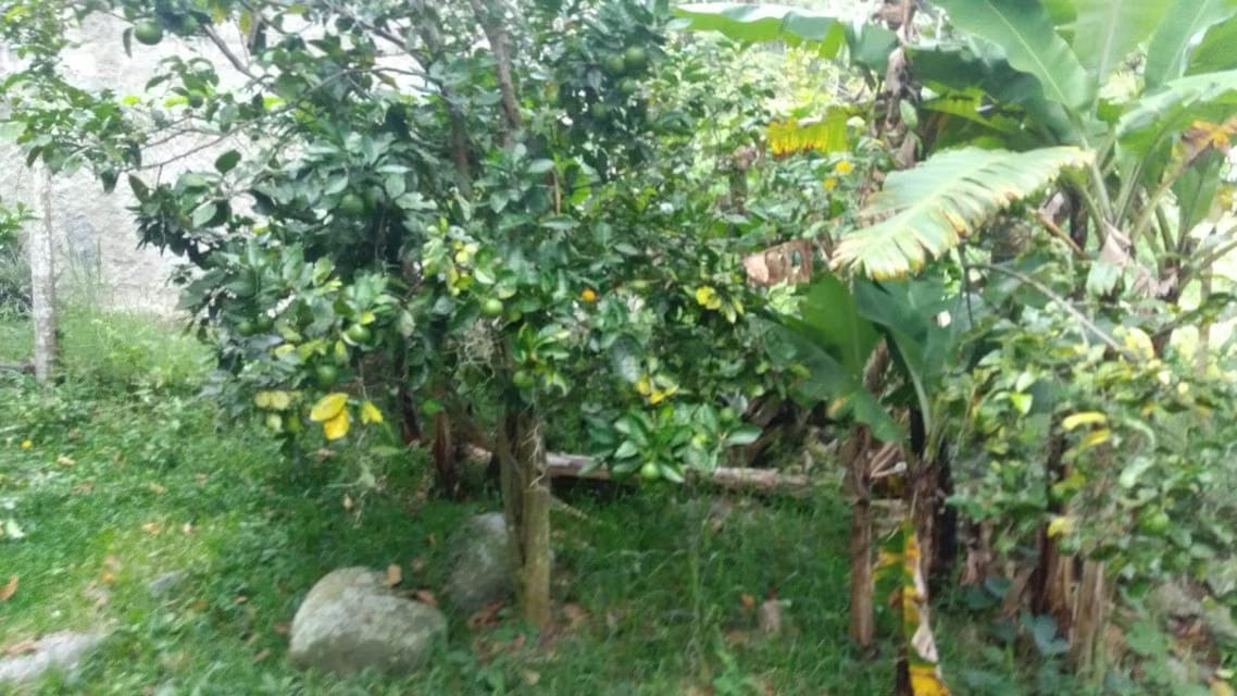 Casa (Casas de Campo) en Venta en Ejido, Merida - 68