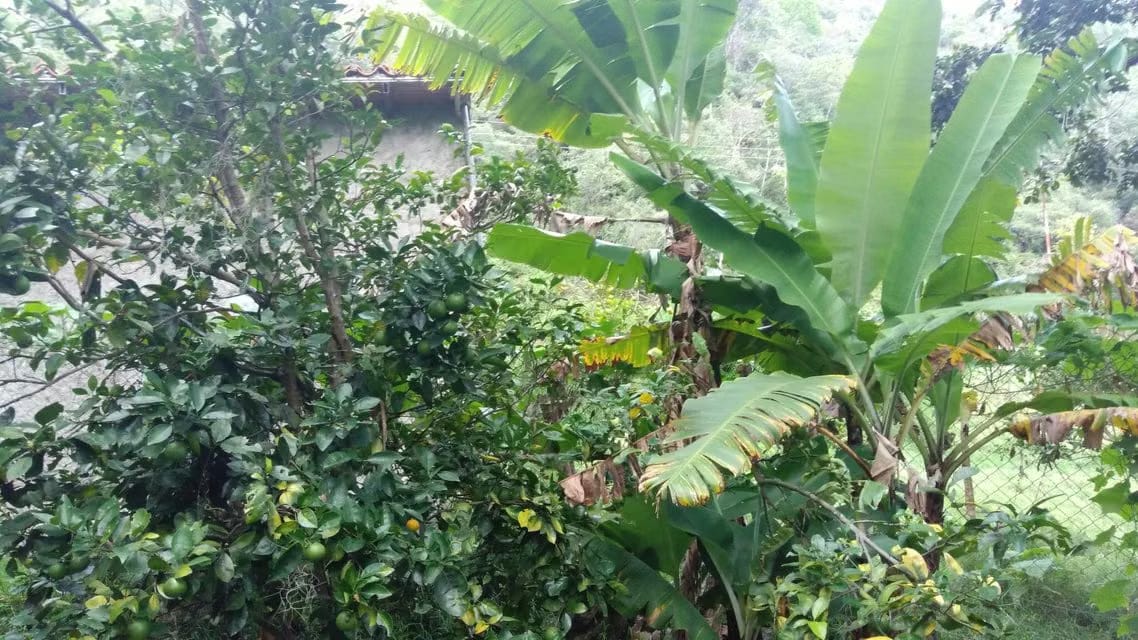 Casa (Casas de Campo) en Venta en Ejido, Merida - 71