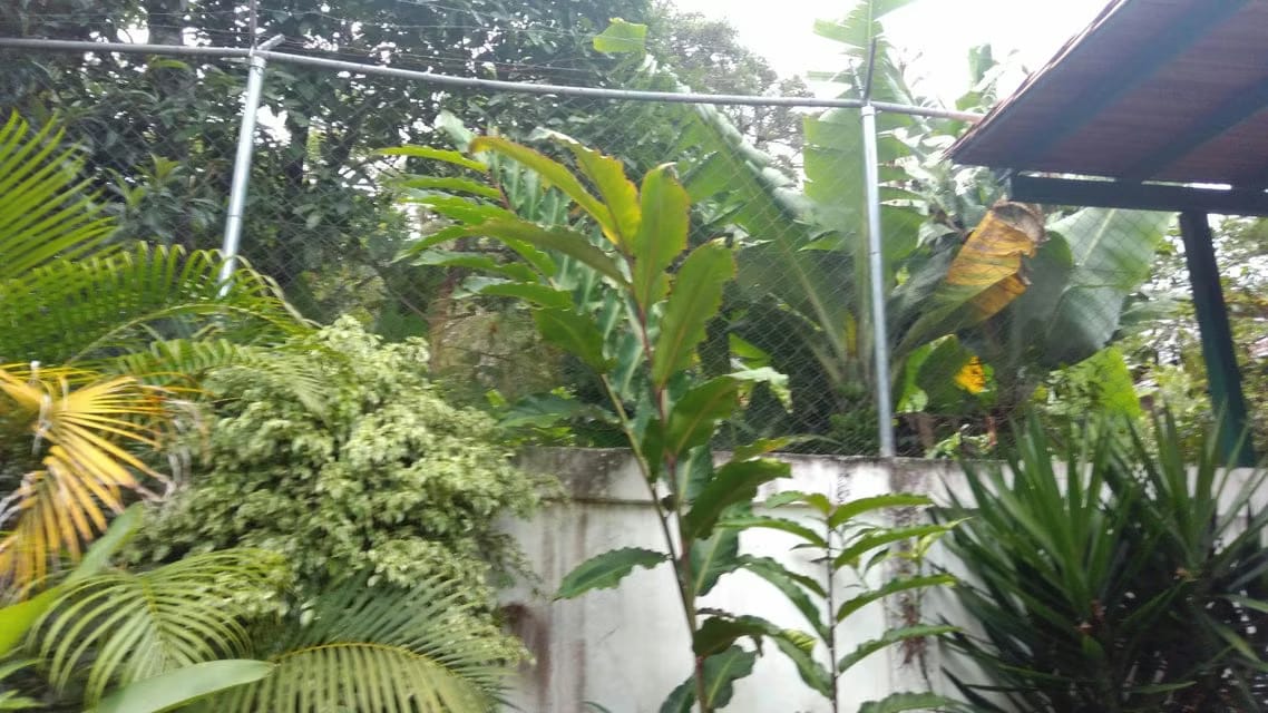 Casa (Casas de Campo) en Venta en Ejido, Merida - 77